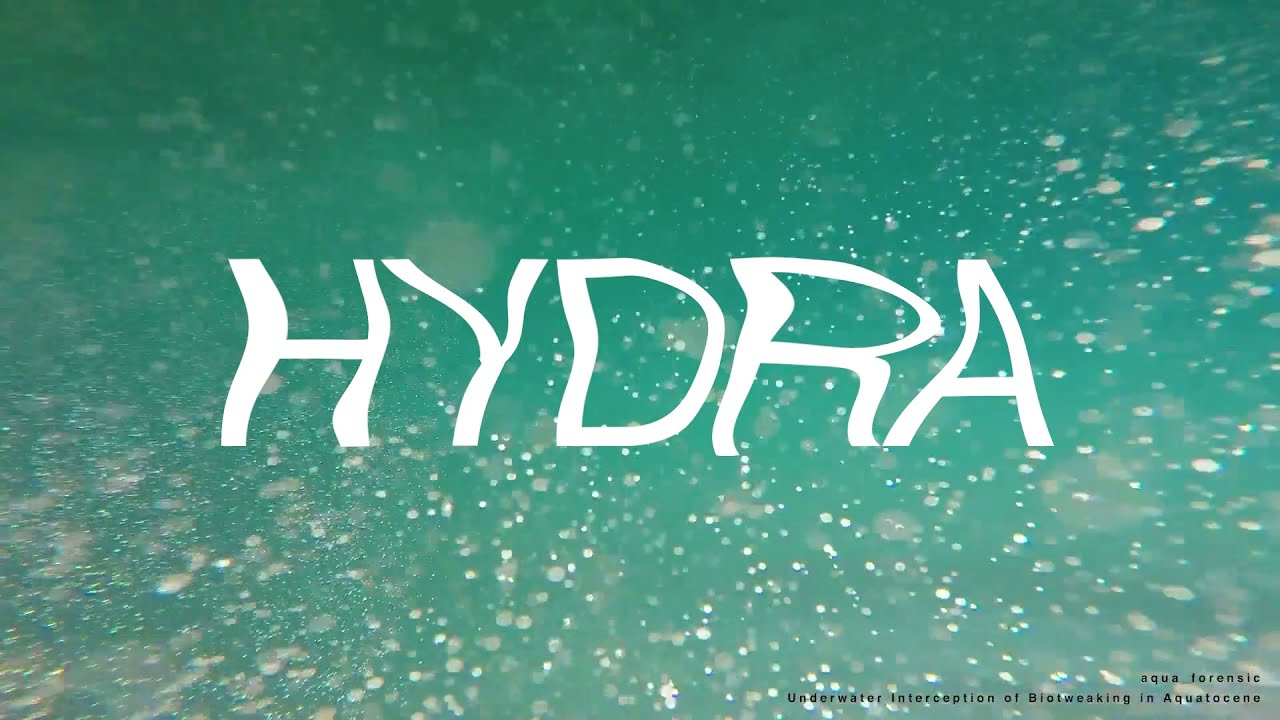 Сайт гидры hydra2web hydra ssylka onion com